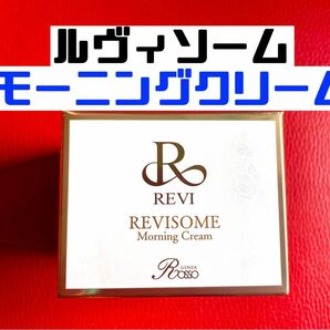 revi ルヴィソームモーニングクリーム 50ｇ 新品未使用　説明書付き