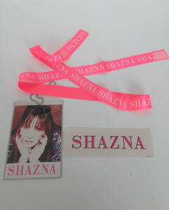 即決 SHAZNA ビニールケース入りパス ステッカー SHAZNAリボン シャズナ IZAM NIY AOI Melty love IZANE IZAMU V系 ヴィジュアル系 イザム 