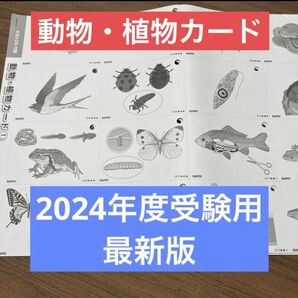 最新版　2024年入試用　サピックス　理科　動物、植物カード　5シート　80枚　新品　原本