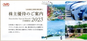 日本駐車場開発 株主優待券 スキー場 リフト割引券 電子チケット 