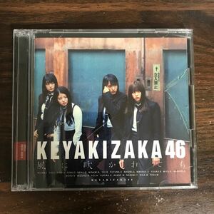 (G3076) 帯付 中古CD100円 欅坂46 風に吹かれても(Type-B)(DVD付)