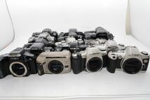 【訳あり】ジャンク フィルムカメラ AF 16台まとめて MINOLTA Canon PENTAXなど色々 #e8350_画像1