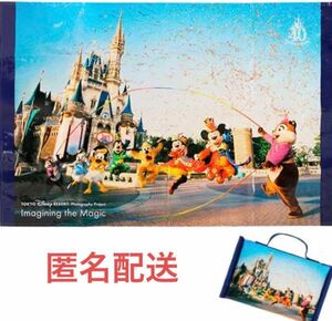 【新品未使用】東京ディズニーリゾート イマジニングザマジック レジャーシート