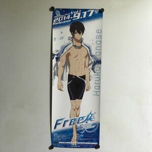 Y2388 ◆七瀬遙　Free Eternal Summer DVD　販促 B2ハーフサイズ スティックポスター　きゃにめ.jp購入特典