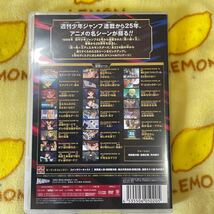 遊戯王 MILENNIUM SCENES DVD 闇遊戯　武藤遊戯　海馬瀬人　ブルーアイズホワイトドラゴン　ブラックマジシャン死者蘇生　オシリスの天空竜_画像2