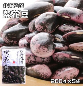 紫花豆 1kg 豆力 北海道産 高原豆 高級菜豆 花豆 インゲン豆 むらさきはなまめ 国産 乾燥豆 国内産 豆類 和風食材 生豆