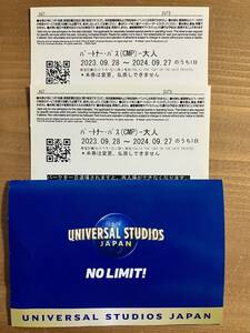 USJ ペアチケット ユニバーサルスタジオジャパン 2枚