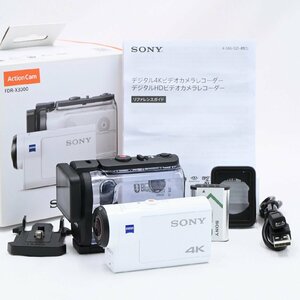 ソニー SONY FDR-X3000