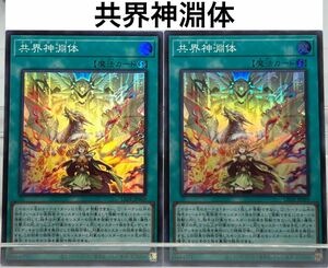 No.86 遊戯王 共界神淵体×2