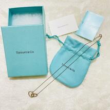 TIFFANY&Co ティファニーダブルループネックレスシルバー_画像1