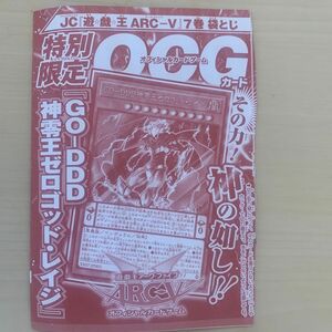遊戯王　GO-DDD 神零王ゼロゴッド・レイジ