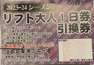 治部坂高原スキー場　リフト大人1日券　1枚