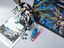 ＰＧ 1/60 ストライクフリーダムガンダム全塗装/完成品 _画像10