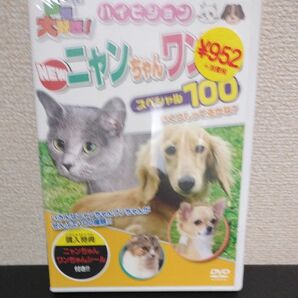 動物大好き！ ＮＥＷニャンちゃんワンちゃんスペシャル１００ （キッズ）