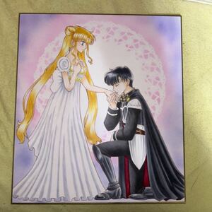 Art hand Auction Sailor Moon Doujin Illustration dessinée à la main Endymion & Princess Serenity Partie 5, des bandes dessinées, produits d'anime, illustration dessinée à la main