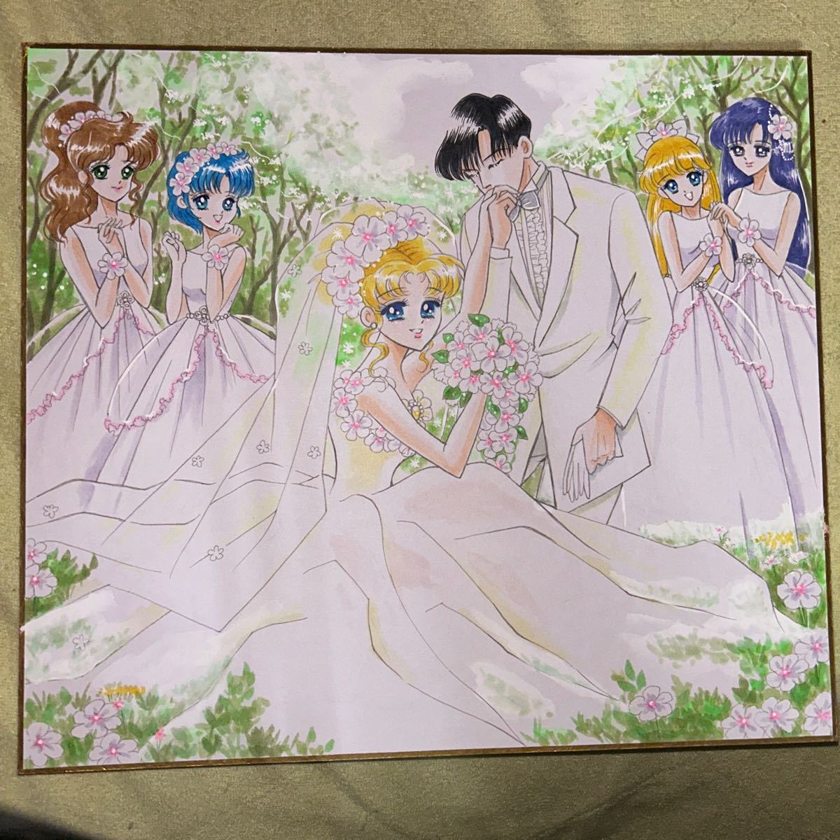 Jolie illustration d'illustration dessinée à la main de Pretty Guardian Sailor Moon Doujin Mamoru Chiba & Usagi Tsukino & Ami Mizuno & Rei Hino & Makoto Kino & Minako Aino, des bandes dessinées, produits d'anime, illustration dessinée à la main