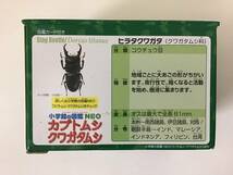 タカラトミー アニア AS-41 ヒラタクワガタ 新品未開封 クワガタムシ _画像3