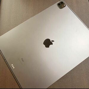 【ジャンク品】iPad Pro 12.9 インチ (第 4 世代) 256gb