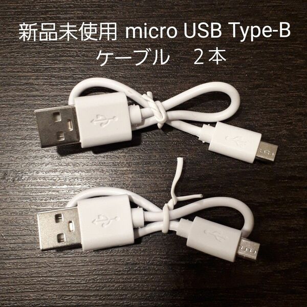 micro USB Type-B ケーブル　２本