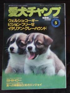 古本　美品　愛犬チャンプ　1994.5月号。