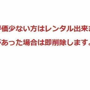 SONY E-Mount用 FE 70-200mm F2.8 GM SEL70200GM Gマスター レンズ レンタル 前日お届け 2泊3日 事前にお問い合わせ下さい。の画像3