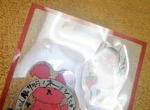 初回限定盤CD☆aiko／桜の木の下（PCCA-01415） アンコールプレス、イラストステッカー付き、カブトムシ、花火、桃色、桜の時_画像3