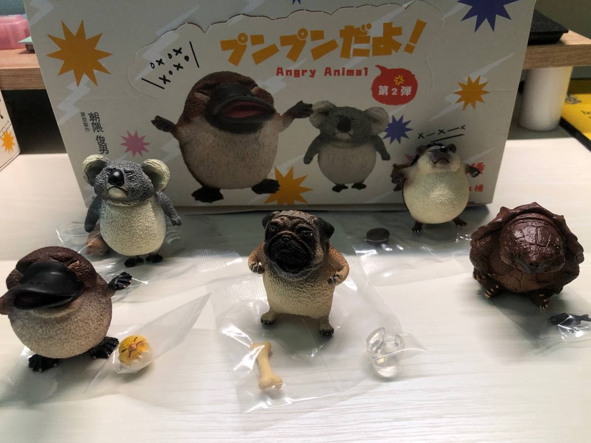 2025年最新】Yahoo!オークション -朝隈俊男(生き物)の中古品