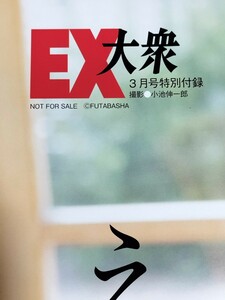 278 えなこ 両面ビッグポスター EX大衆