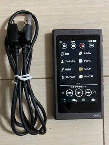 SONY walkman NW-A45 16GB 本体 純正 USBケーブル 付き 動作品 初期化 Hi-Res Bluetooth ハイレゾ ウォークマン ソニー NW 送料無料
