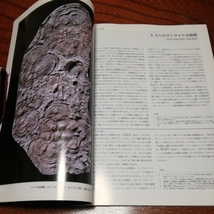 古生物「化石芸術　古代生物の造形美」展覧会図録_画像5