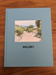 平野太呂 写真集 I HAVEN'T SEEN HIM / WALLOWS 写真集 taro hirano