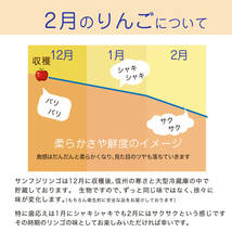 【お買得★MLサイズ5キロ16玉入】信州産 サンふじ完熟りんご（5キロ16玉入）★農家直送★一律送料900円（北海道1400円・沖縄1700円）_画像3