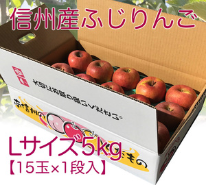 【2月価格★Lサイズ5キロ】信州産サンフジ完熟りんご☆5キロ15玉入★農家直送★一律送料900円（北海道1300円・沖縄1600円）