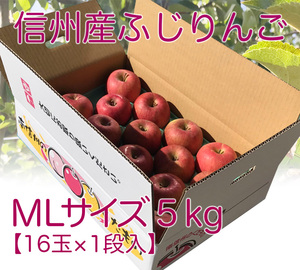 【最終１箱★MLサイズ5キロ16玉入】信州産 サンふじ完熟りんご（5キロ16玉入）★農家直送★一律送料900円（北海道1400円・沖縄1700円）