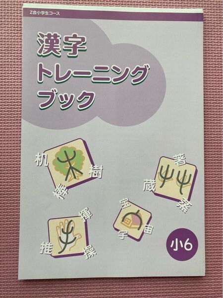 未記入美品 Ｚ会 小学校６年生　漢字トレーニングブック　答えを含む