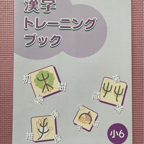 未記入美品 Z会 小学校6年生 漢字トレーニングブック 答えを含む