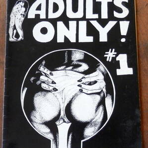 12【Comix】ADULTS ONLY! #1(INK WELL)の画像1