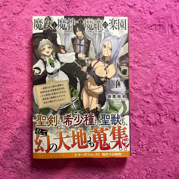 魔女と魔性と魔宝の楽園　追放された転生貴族の自由気ままな〈蒐集家〉生活。ハズレ前世に目覚めた少年は、異世界で聖剣もモフモフも自分