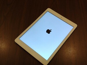 iPad Air初代 iPad Apple Cellular シルバー