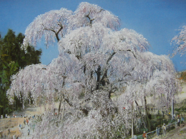 黒澤信男, 【三春の滝桜】, 希少な額装用画集より, 美品, 新品額装付, インテリア, 春, 桜, 絵画, 油彩, 自然, 風景画