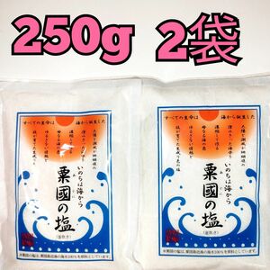 ★沖縄粟国島の塩★　粟國の塩　250g 2袋