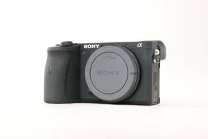 【美品・リグ付】SONY α6600 高倍率ズームレンズキット E18-135 F3.5-5.6 OSS SEL18135 / ILCE-6600M ブラック