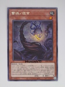 遊戯王 蕾禍ノ毬首 字レア 1枚 未使用品 日版 LEDE 数量9 ライカノマリコウベ 蕾禍