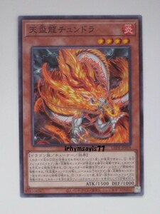 遊戯王 天盃龍チュンドラ ノーマル モンスター 1枚 未使用品 日版 LEDE 数量9 天盃龍