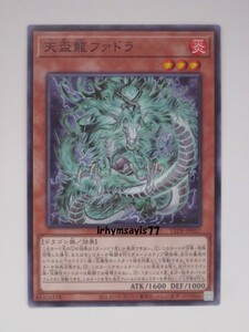 遊戯王 天盃龍ファドラ ノーマル モンスター 1枚 未使用品 日版 LEDE 数量9 天盃龍