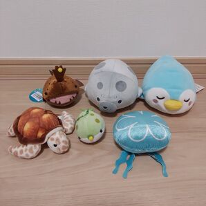 海の生きものセット