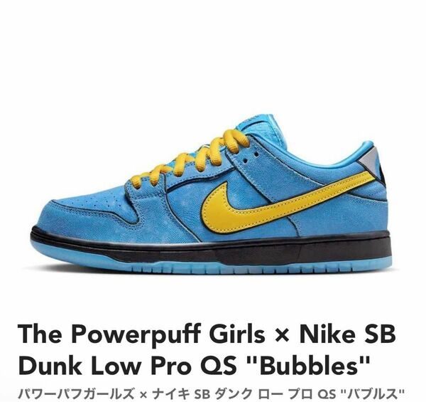 Nike SB Dunk Low Pro QS "Bubbles" 28.0cm