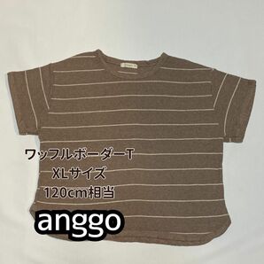 【新品未使用】anggo 120cm Tシャツ ボーダー キッズ服 韓国子供服 ブラウン クルーネック 半袖Tシャツ トップス