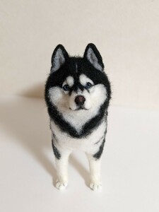 羊毛フェルト　ハスキー　ブラック　シベリアンハスキー　犬　dog　ハンドメイド　〜ともじろう〜