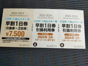 六日町八海山スキー場早割1日券　引換券X２回券